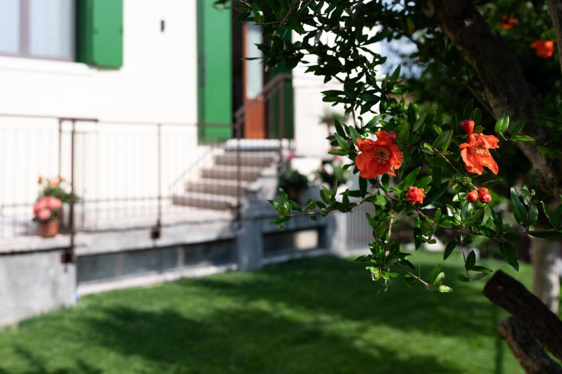Giardino Del Borgo Appartamento Valpolicella SantʼAmbrogio di Valpolicella Extérieur photo